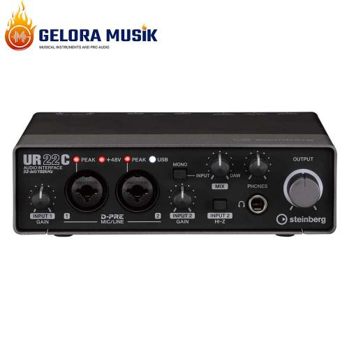 Audio Interface Steinberg Yamaha UR22C